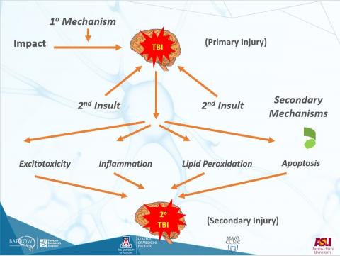 Mechanisms of Brain Injury
