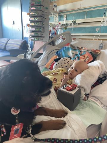 Nash with pet therapy dog in hospital room