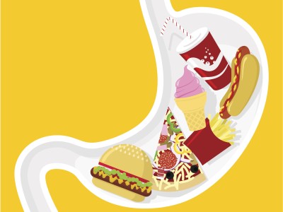 Stomach illustration