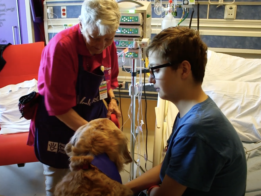 Heart Transplant Heart Failure Program Image